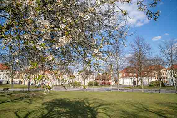 Zinzendorfplatz
